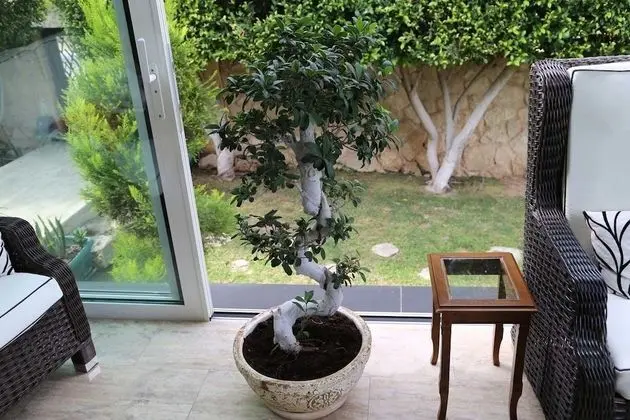 Villa, 5 Yatak Odası