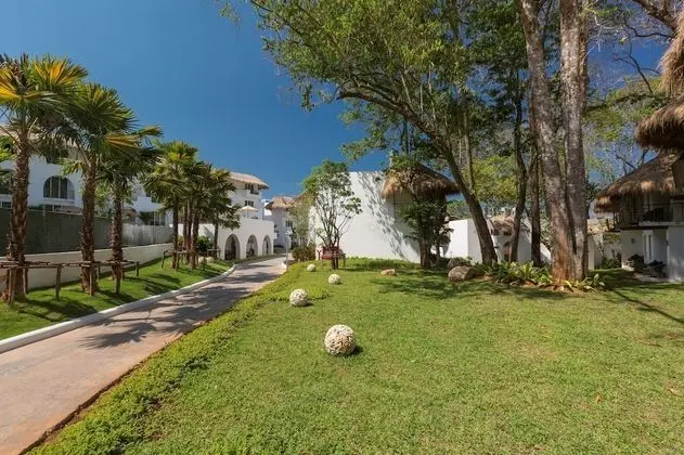 Tropical Garden