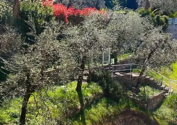 Economy Dört Kişilik Oda, 1 Yatak Odası, Balkon (Lake View or Mountain Side)