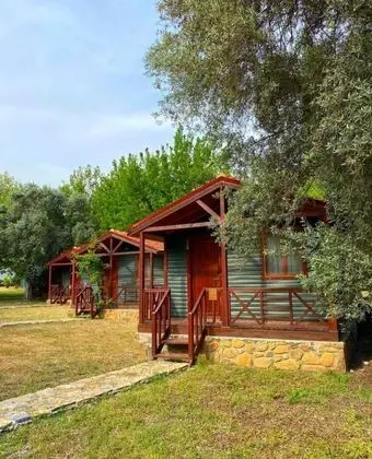 https://images.odamax.com/img/1024x768/odamax/image/upload/Eden_Bungalows_And_Beach_Ekincik_202605201930138_WhatsApp_Image_2026_05_12_at_19_35_03.jpeg