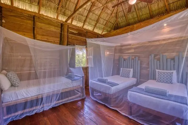 Deluxe Bungalov, 1 Yatak Odası, Bahçe Manzaralı, Bahçeli