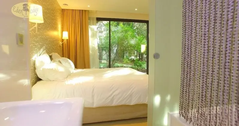 Deluxe Tek Büyük Yataklı Oda (Bagatelle)