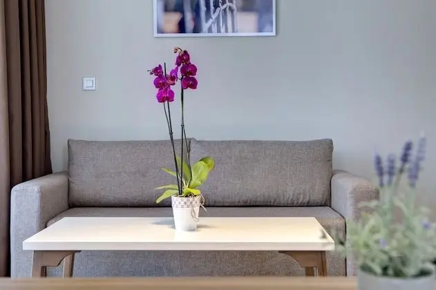 Süit, Balkon, Şehir Manzaralı