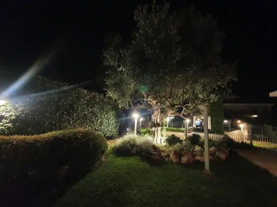 Oda, 1 Yatak Odası, Şömine