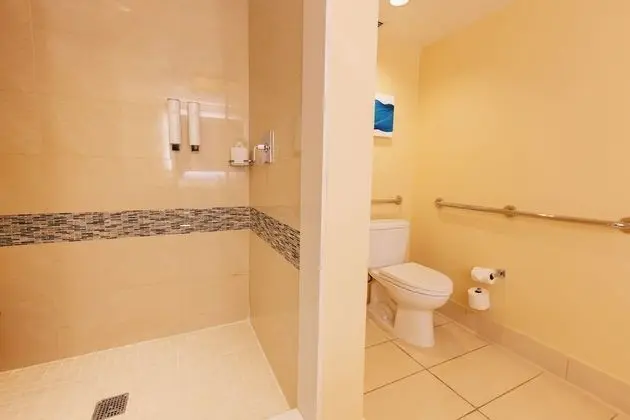 Engellilere uygun banyo
