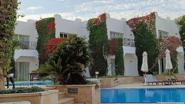 Superior Tek Büyük Yataklı Oda, Deniz Manzaralı