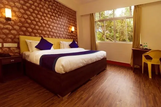 Deluxe Tek Büyük Yataklı Oda, Sigara İçilebilir, Şehir Manzaralı