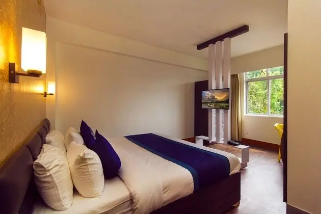Deluxe Tek Büyük Yataklı Oda, Sigara İçilebilir, Şehir Manzaralı
