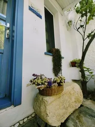Deluxe Oda, Bahçe veya Sokak Manzaralı, Bahçe Katı