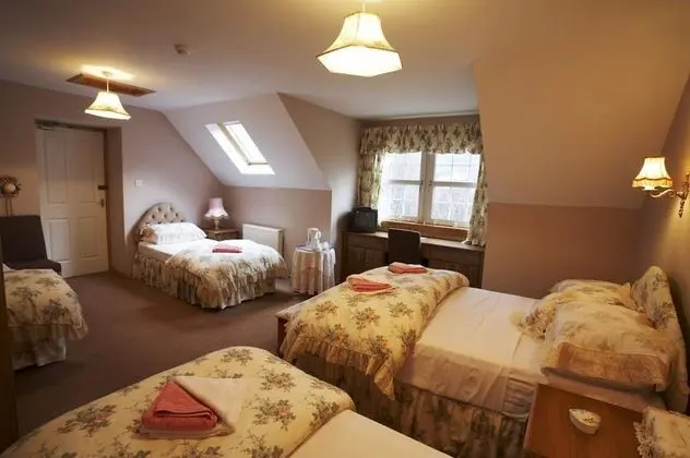Premium Dört Kişilik Oda (Room 5)