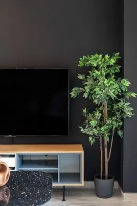 Premium Apart Daire, 2 Yatak Odası, Sigara İçilmez, Havuz Manzaralı