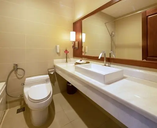 Deluxe Tek Büyük Yataklı Oda (Window  (free minibar))