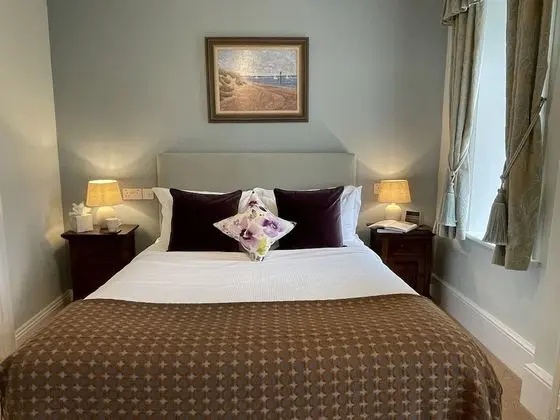 Tek Büyük Yataklı Oda, Banyolu/Duşlu (Room 1)