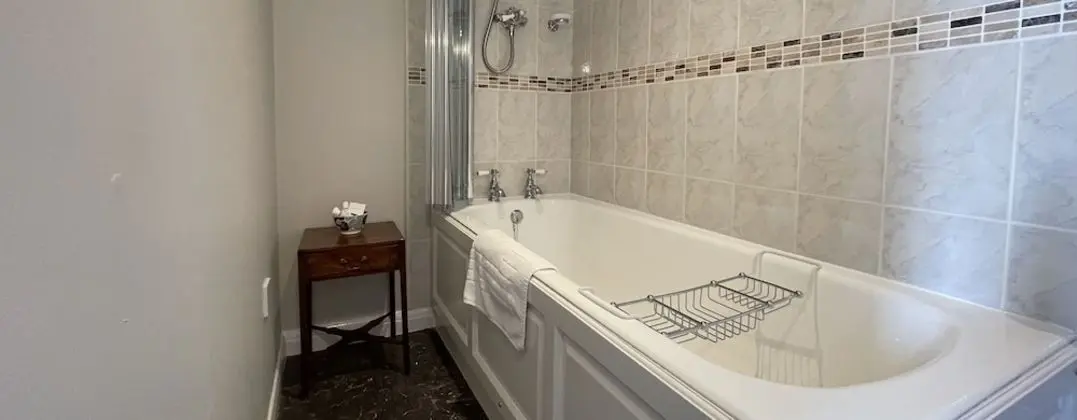 Tek Büyük Yataklı Oda, Banyolu/Duşlu (Room 1)