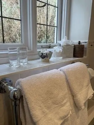Tek Büyük Yataklı Oda, Banyolu/Duşlu (Room 1)