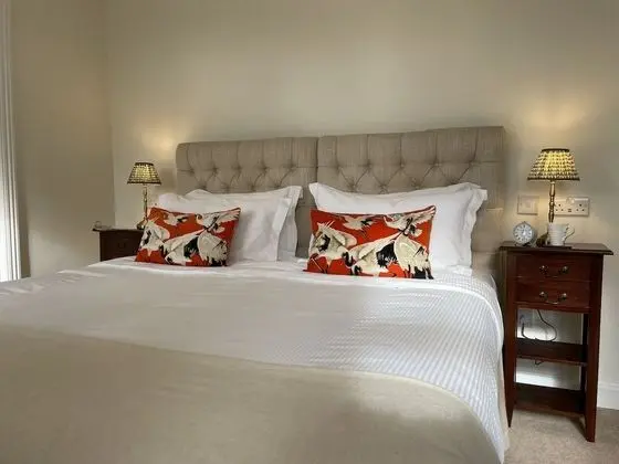 Tek Büyük Yataklı Oda, Banyolu/Duşlu (Room 2 - Super King)