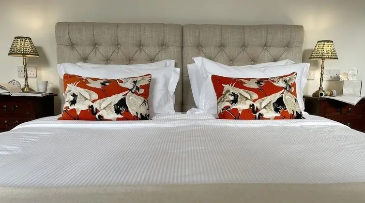 Tek Büyük Yataklı Oda, Banyolu/Duşlu (Room 2 - Super King)