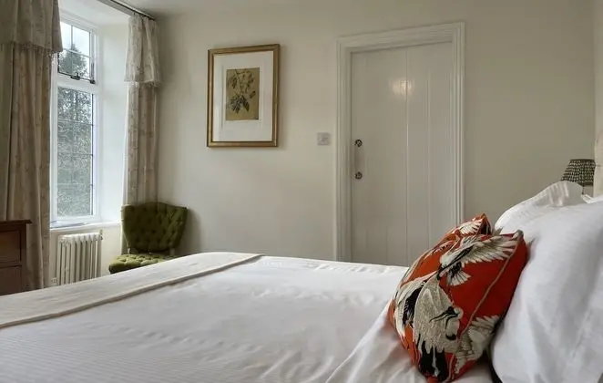 Tek Büyük Yataklı Oda, Banyolu/Duşlu (Room 2 - Super King)