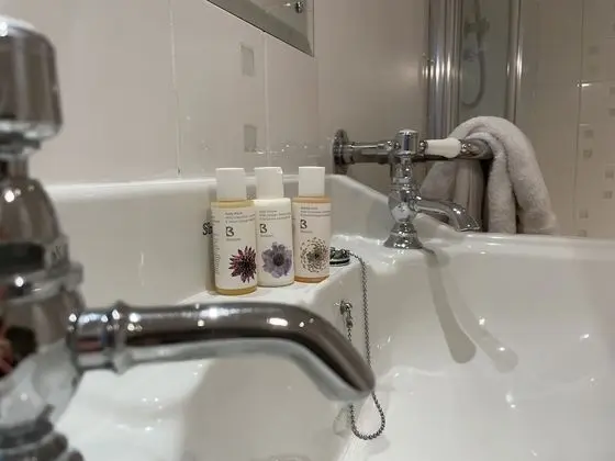 Tek Büyük Yataklı Oda, Banyolu/Duşlu (Room 2 - Super King)
