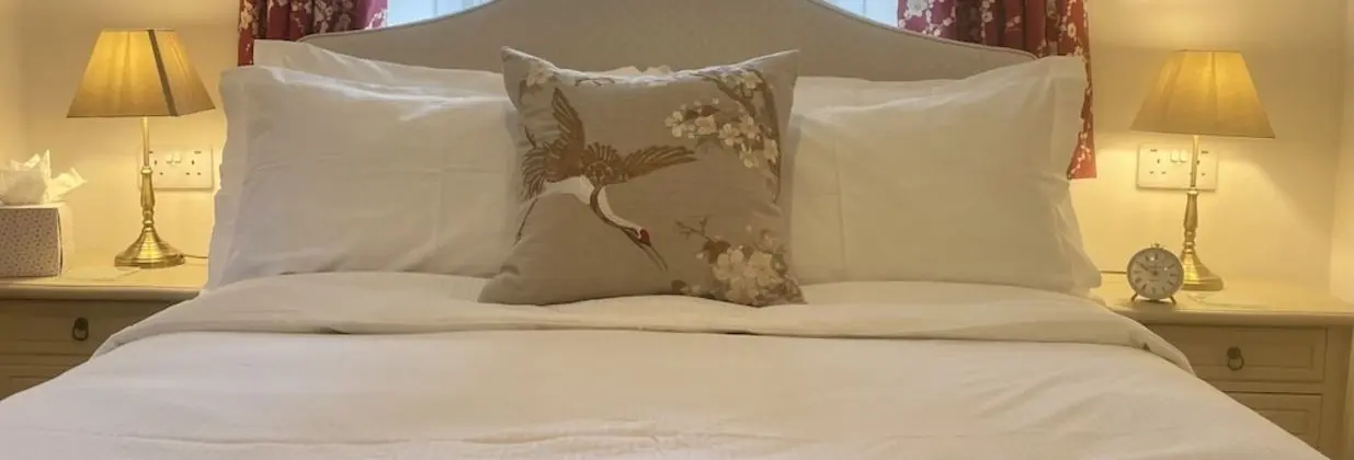 Tek Büyük Yataklı Oda, Banyolu/Duşlu (Room 7)
