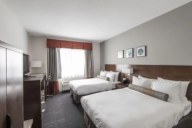 Deluxe Tek Büyük Yataklı Oda, 2 Çift Kişilik Yatak