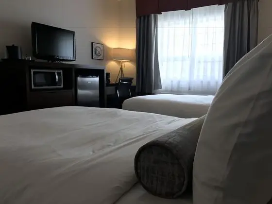 Deluxe Tek Büyük Yataklı Oda, 2 Çift Kişilik Yatak