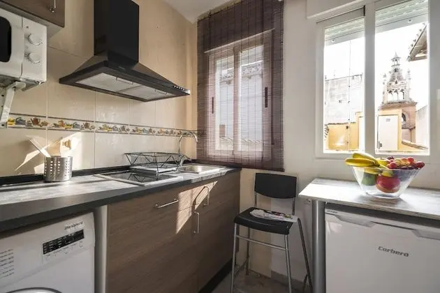 Çatı Katı Süiti (Penthouse)