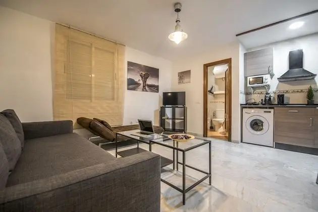 Çatı Katı Süiti (Penthouse)