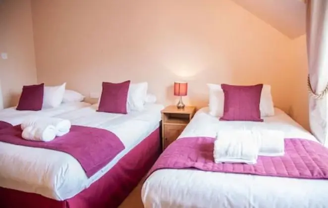 Standard Apart Daire, 2 Yatak Odası