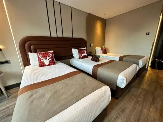 Deluxe Üç Kişilik Oda , Şelale Manzaralı