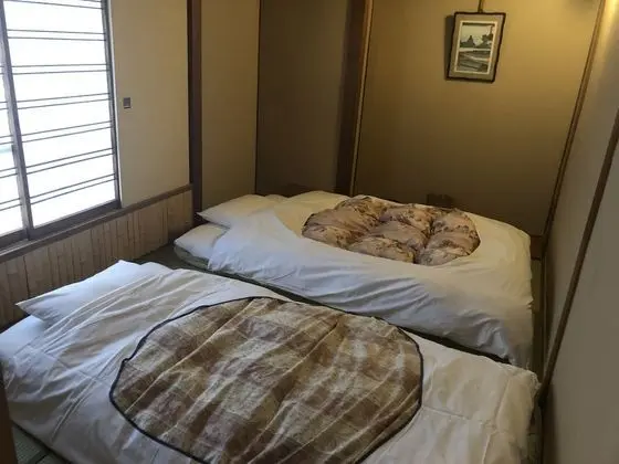 Deluxe İki Ayrı Yataklı Oda (Japanese Style)