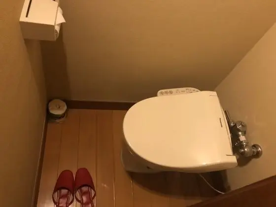 Deluxe İki Ayrı Yataklı Oda (Japanese Style)