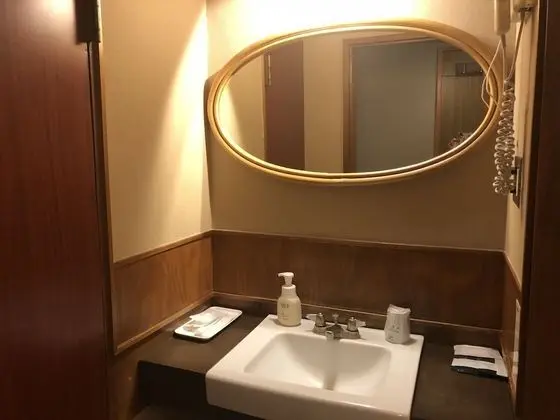 Deluxe İki Ayrı Yataklı Oda (Japanese Style)
