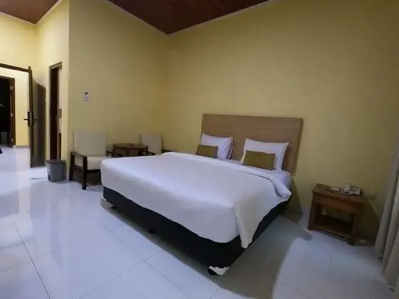 Deluxe Tek Büyük Yataklı Oda