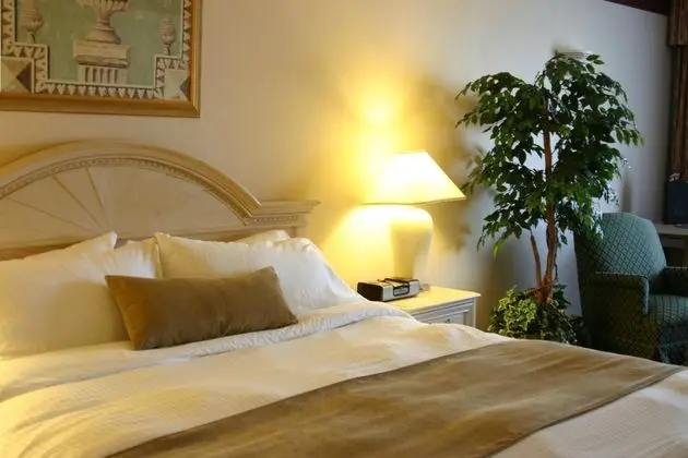 1 Çift ​​kişilik Yatak Deluxe King Bed