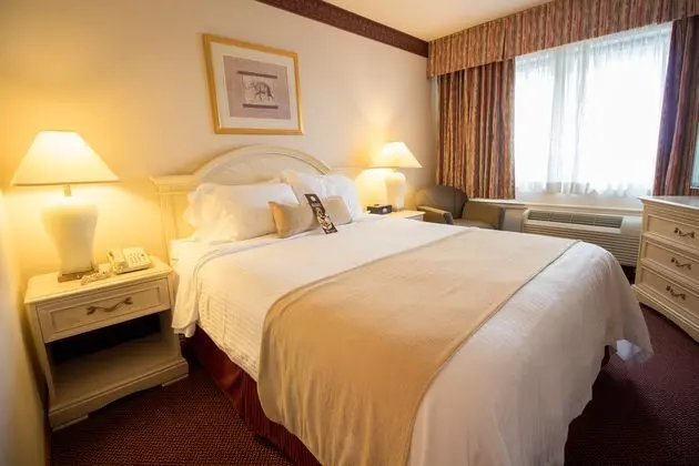 1 Çift ​​kişilik Yatak King Size Bed