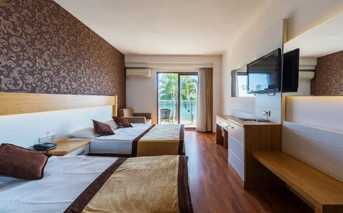 Standart Large Oda