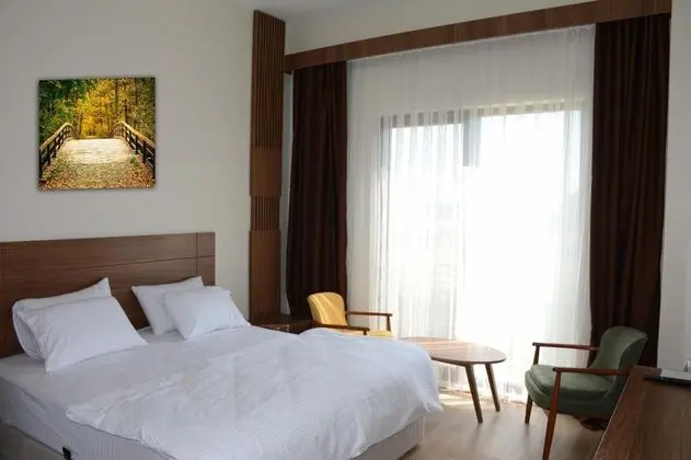 Standart Oda, Şehir Manzaralı