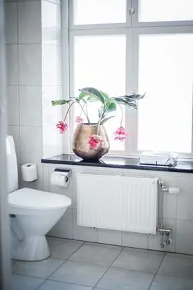 Superior Tek Büyük Yataklı Oda, Balkon, Şehir Manzaralı