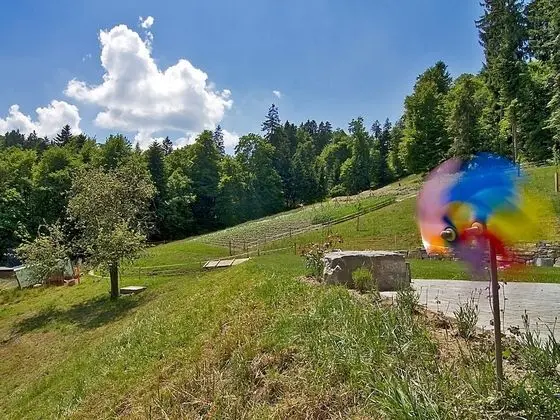 Ev