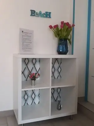 Stüdyo, Teras