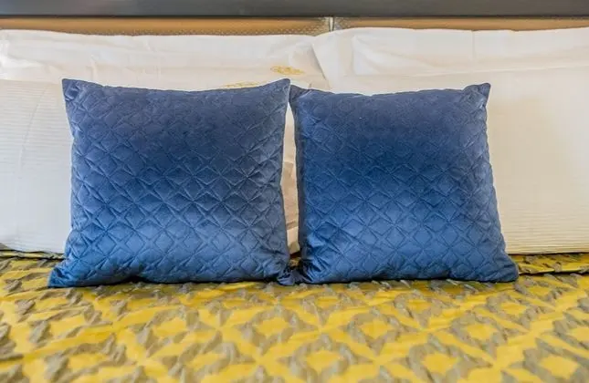 Deluxe Tek Büyük Yataklı Oda, 1 Büyük (Queen) Boy Yatak ve Çekyat, Kanal Manzaralı (San Salvador)