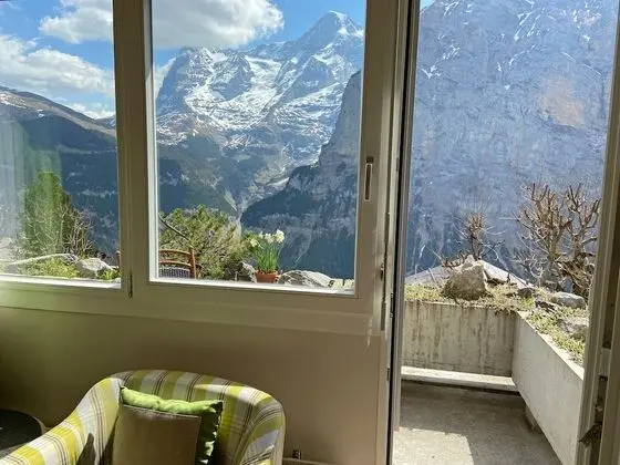 Superior Tek Kişilik Oda, Dağ Manzaralı