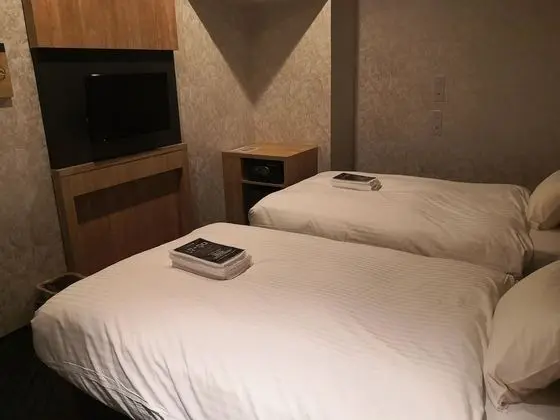 Deluxe İki Ayrı Yataklı Oda, Sigara İçilmez
