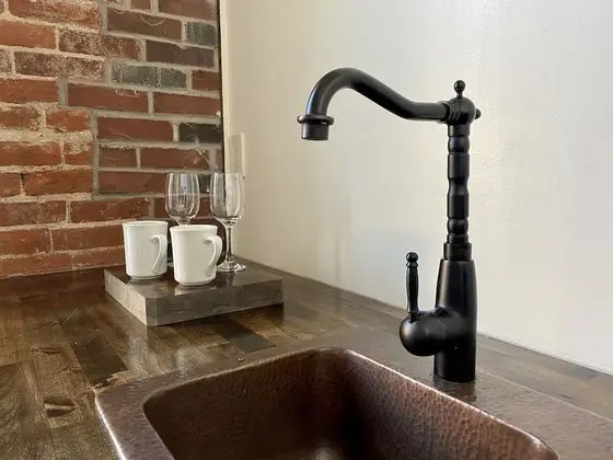Luxury Stüdyo, 1 Çift Kişilik Yatak, Engellilere Uygun (203)
