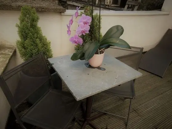 Deluxe Dubleks, 2 Yatak Odası (Third Floor)