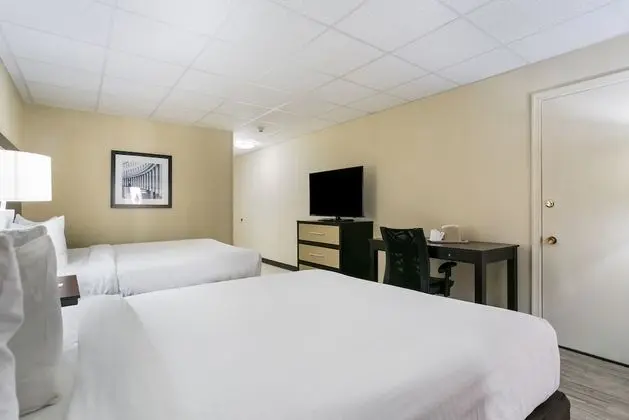 Deluxe Oda, 2 Büyük (Queen) Boy Yatak, Balkon, Havuz Manzaralı