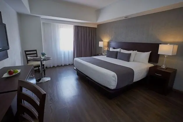 Standard Tek Büyük Yataklı Oda, 1 En Büyük (King) Boy Yatak
