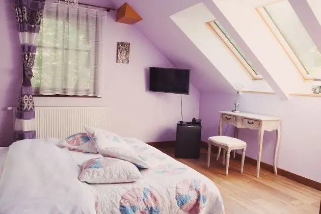 Comfort Tek Büyük Yataklı Oda, 1 En Büyük (King) Boy Yatak, Bahçe Manzaralı (Lawendowy)