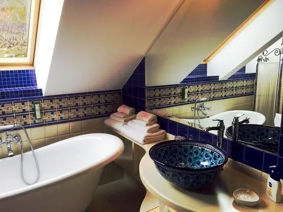 Comfort Tek Büyük Yataklı Oda, 1 En Büyük (King) Boy Yatak, Bahçe Manzaralı (Lawendowy)